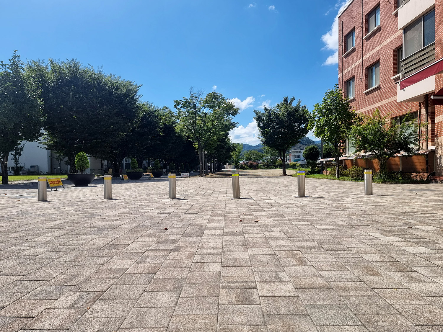 볼라드-1